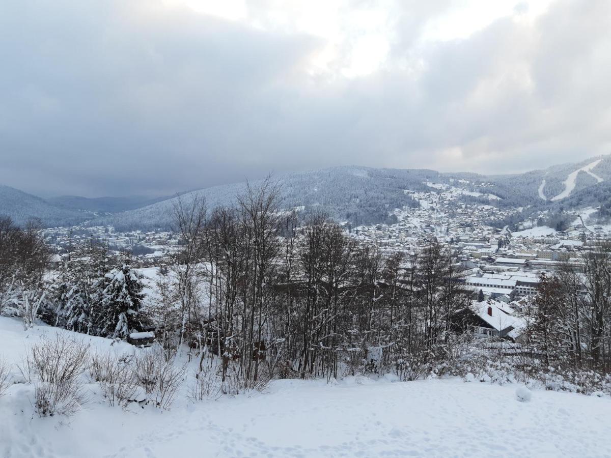 Studio Les Bleuets Gérardmer Екстериор снимка