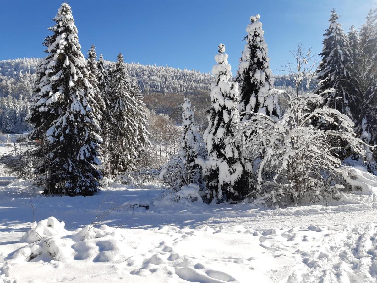 Studio Les Bleuets Gérardmer Екстериор снимка