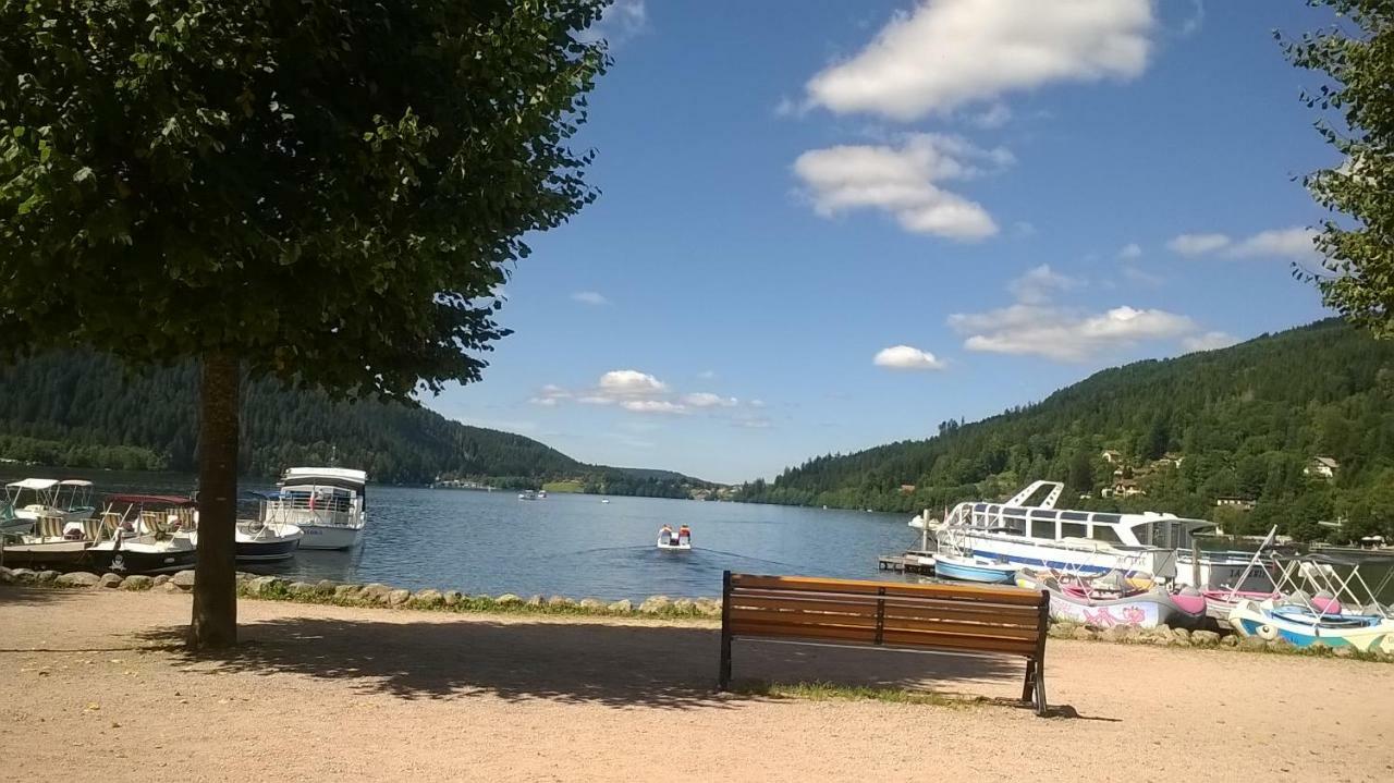 Studio Les Bleuets Gérardmer Екстериор снимка