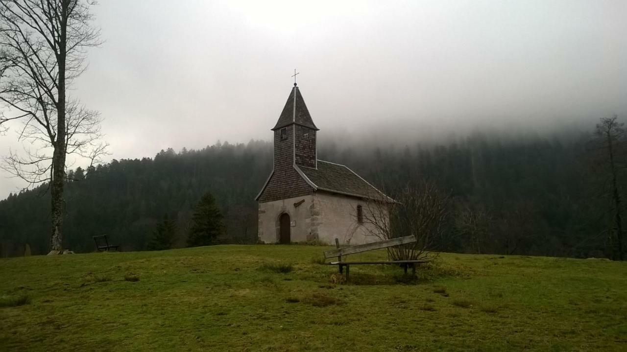 Studio Les Bleuets Gérardmer Екстериор снимка
