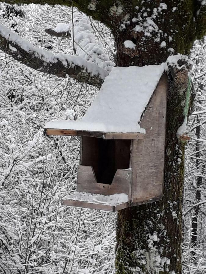 Studio Les Bleuets Gérardmer Екстериор снимка