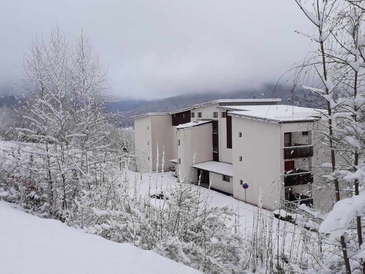Studio Les Bleuets Gérardmer Екстериор снимка
