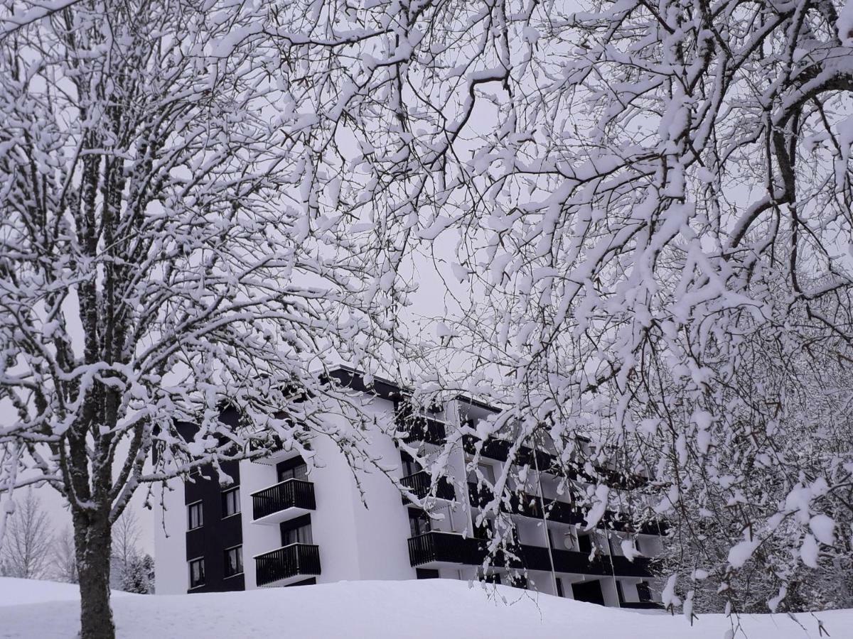 Studio Les Bleuets Gérardmer Екстериор снимка