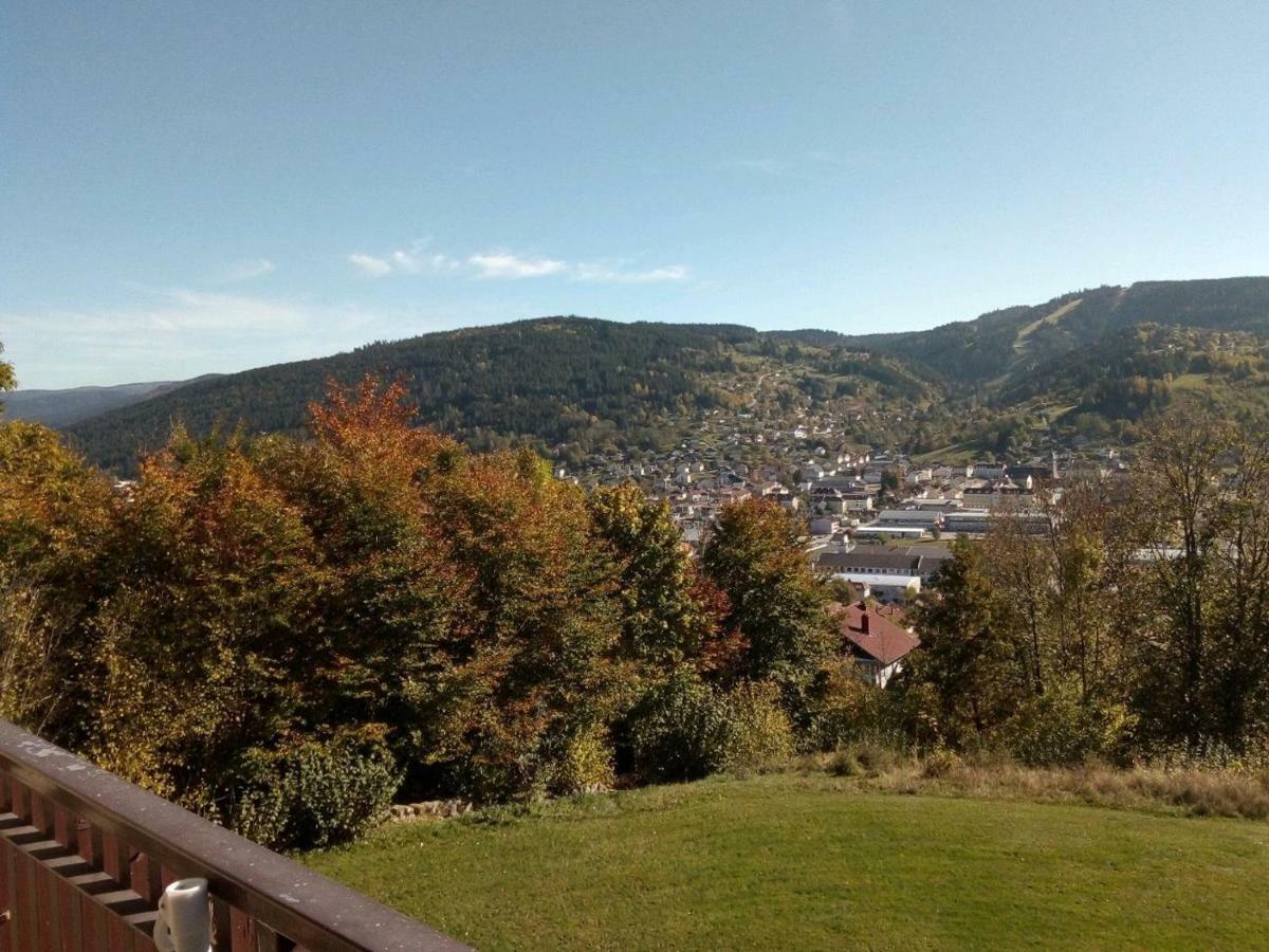 Studio Les Bleuets Gérardmer Екстериор снимка